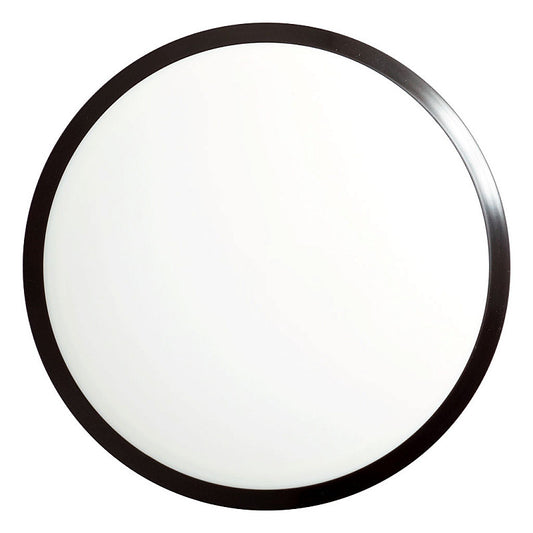 MVP Trail Neutron Blank 170-175